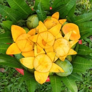 হাঁড়িভাঙ্গা আম ১২ কেজি
